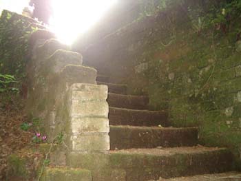 2003-05@UMBRIA