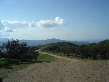 GRAZIE GIAMPA